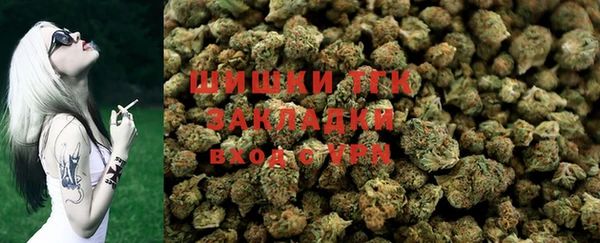 ПСИЛОЦИБИНОВЫЕ ГРИБЫ Арсеньев